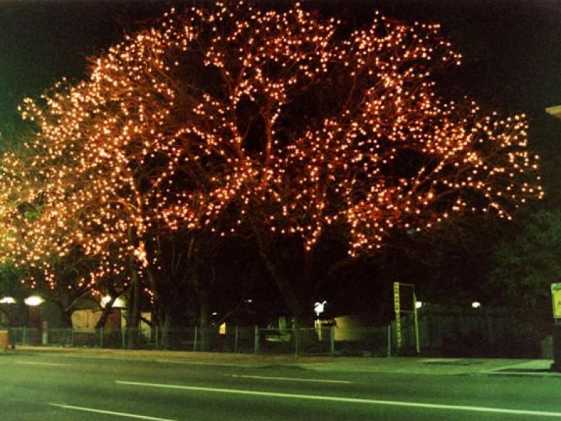 Fairylights tree decoration